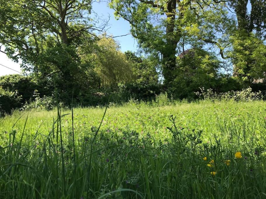 Priory Meadow Cottage Long Bennington Dış mekan fotoğraf